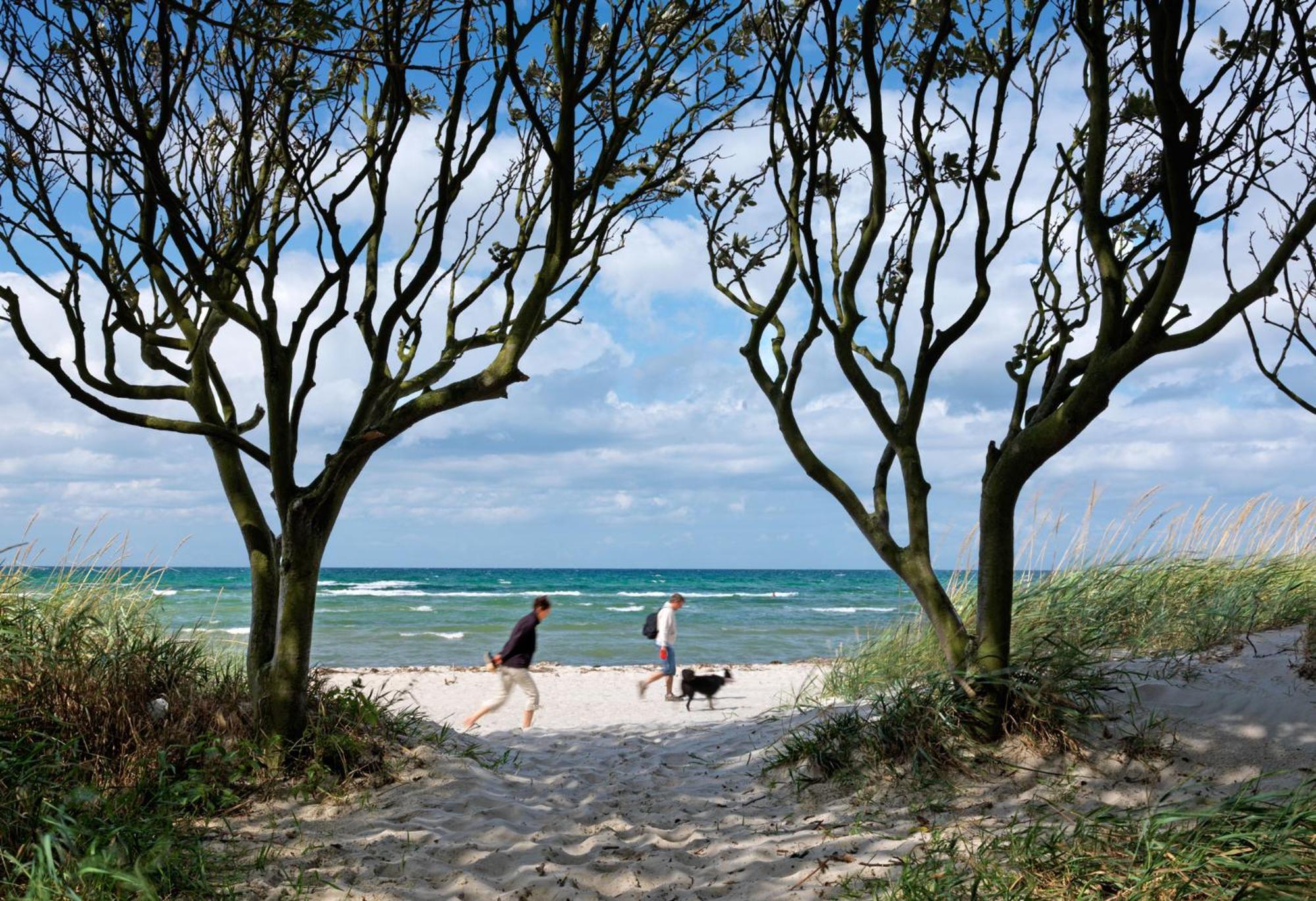 אינזל פואל Reihenhaeuser Timmendorf Strand Haus Sonnenaufgang מראה חיצוני תמונה